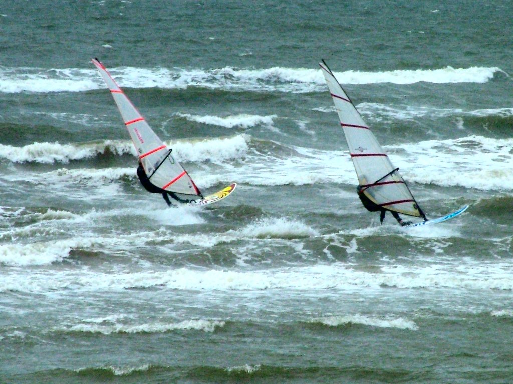 Click now to see this image full size.