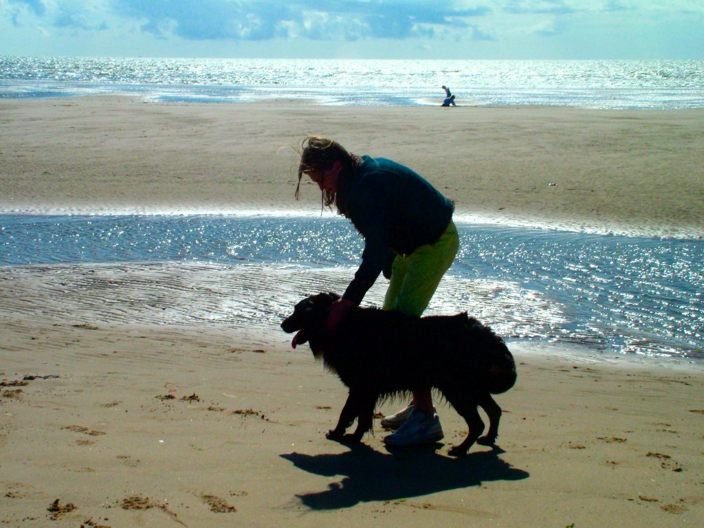 Click now to see this image full size.