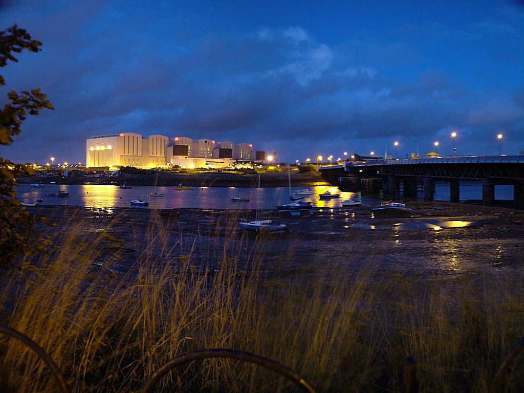 Click now to see this image full size.