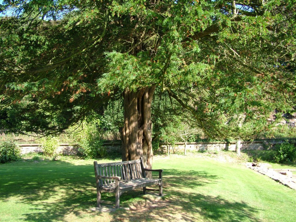 Click now to see this image full size.