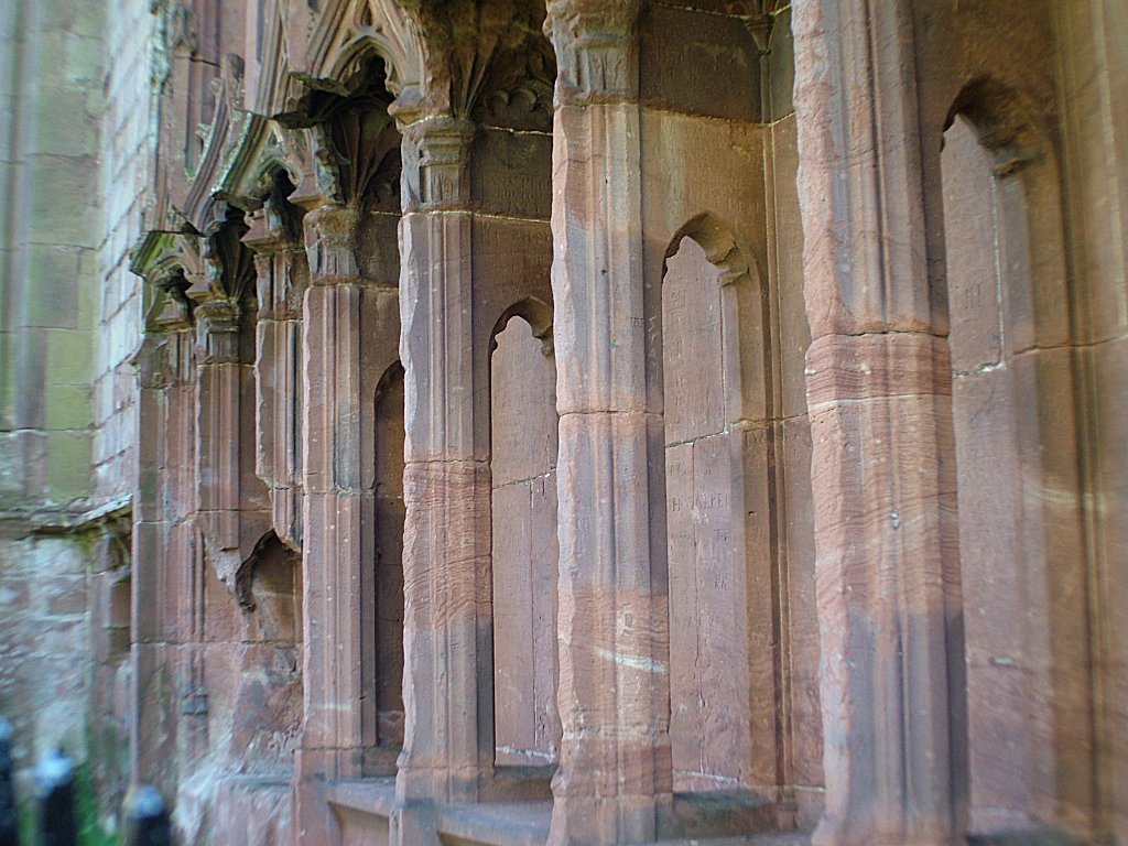 Click now to see this image full size.