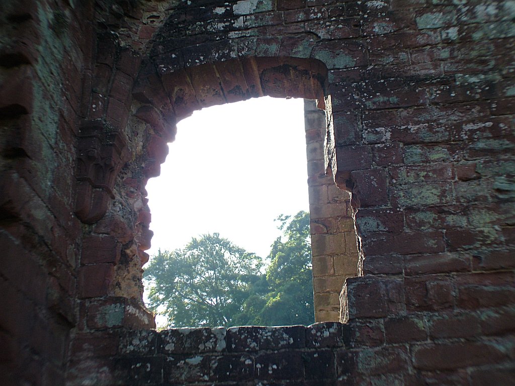 Click now to see this image full size.