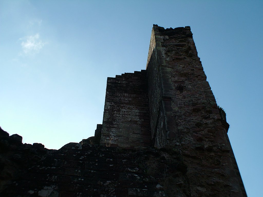 Click now to see this image full size.