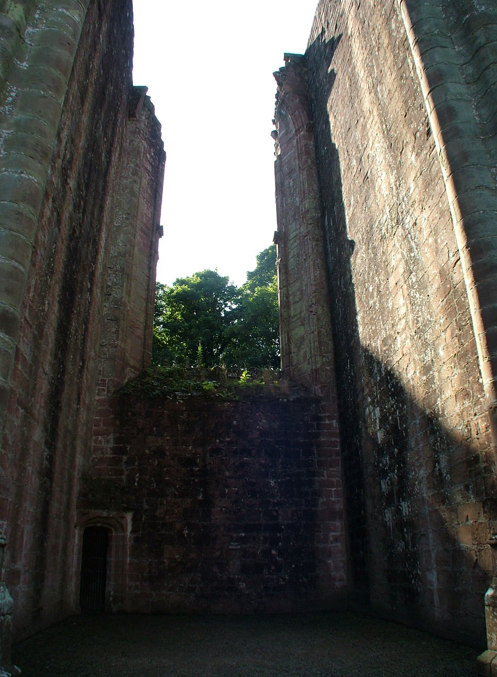 Click now to see this image full size.