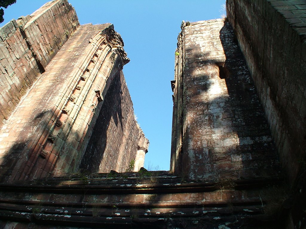 Click now to see this image full size.