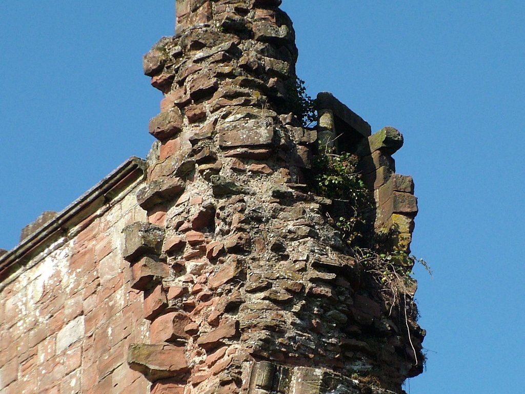 Click now to see this image full size.