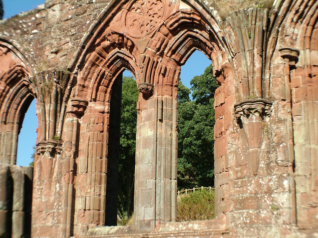 Click now to see this image full size.