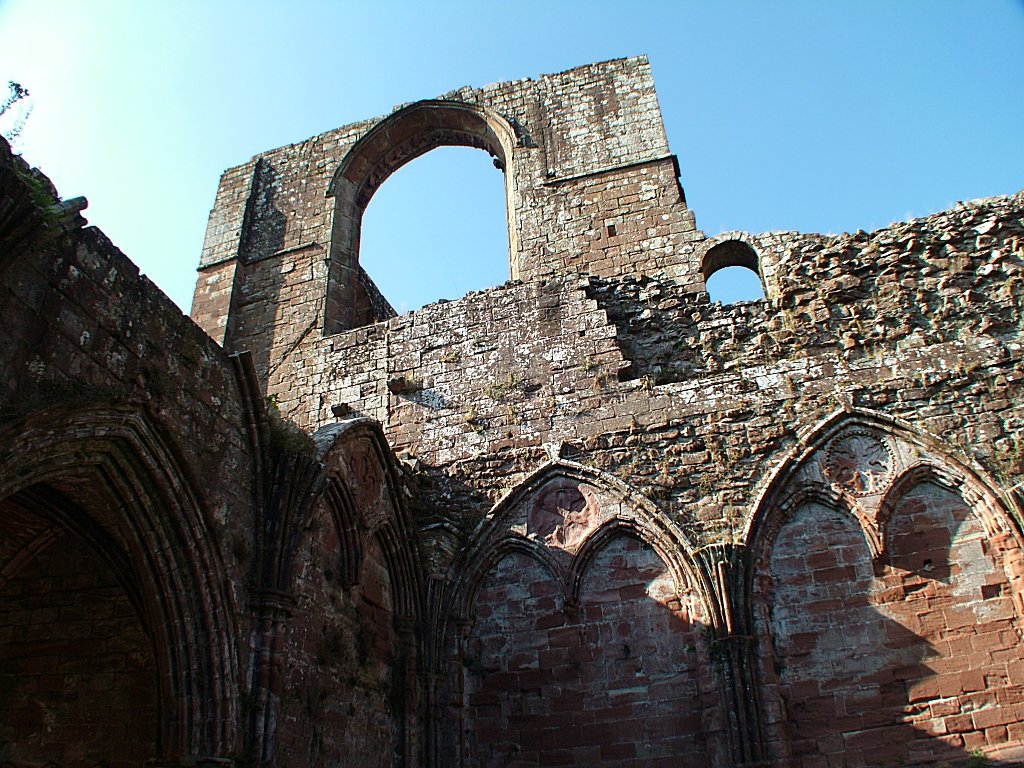 Click now to see this image full size.