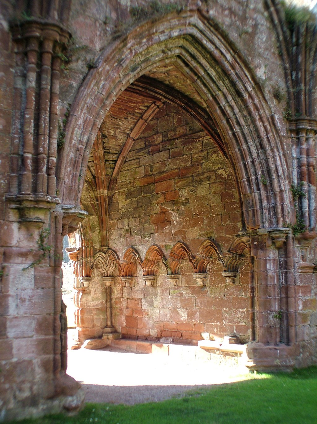 Click now to see this image full size.