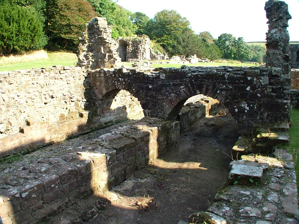 Click now to see this image full size.