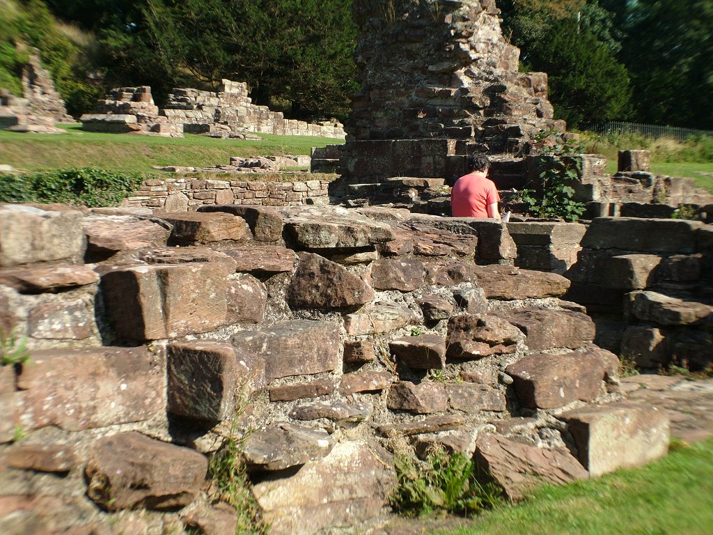 Click now to see this image full size.