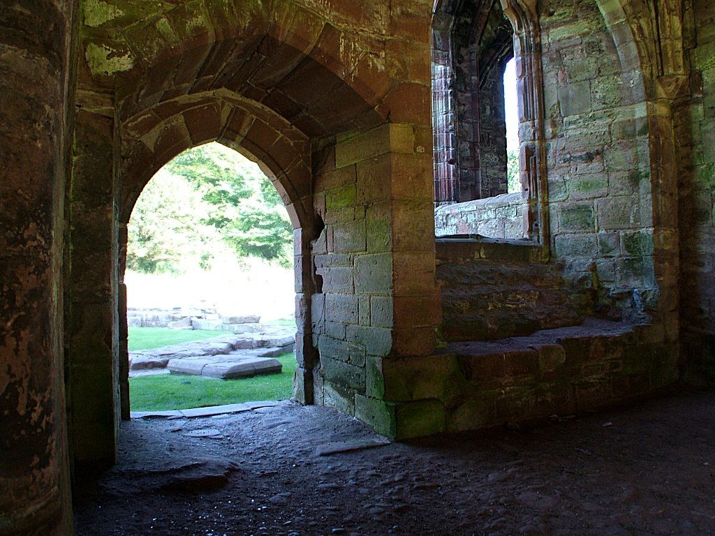 Click now to see this image full size.