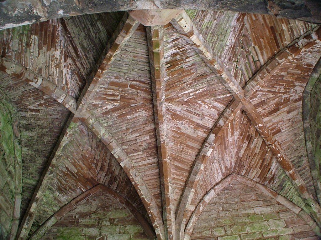 Click now to see this image full size.