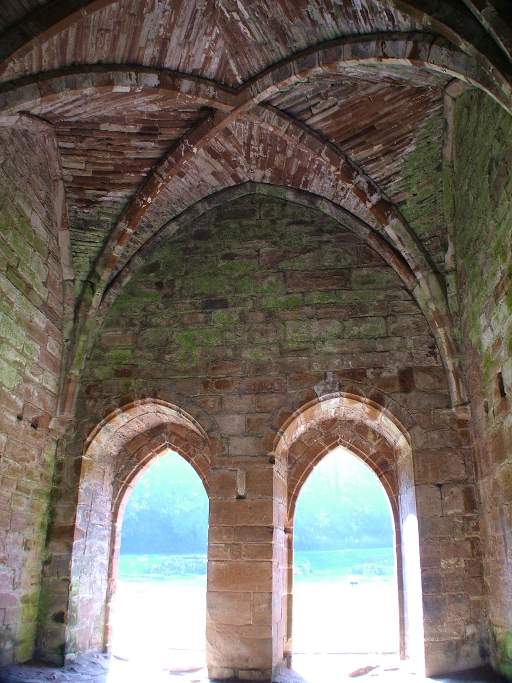 Click now to see this image full size.