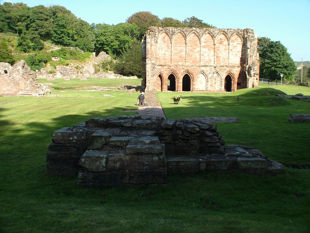 Click now to see this image full size.