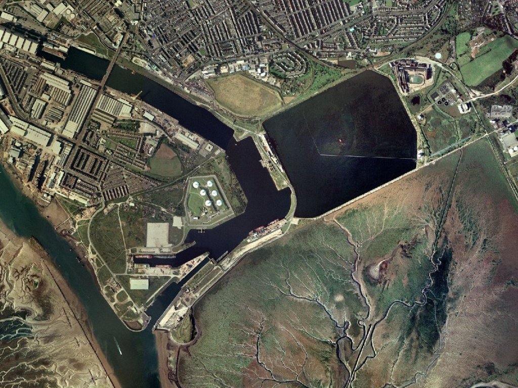 Click now to see this image full size.