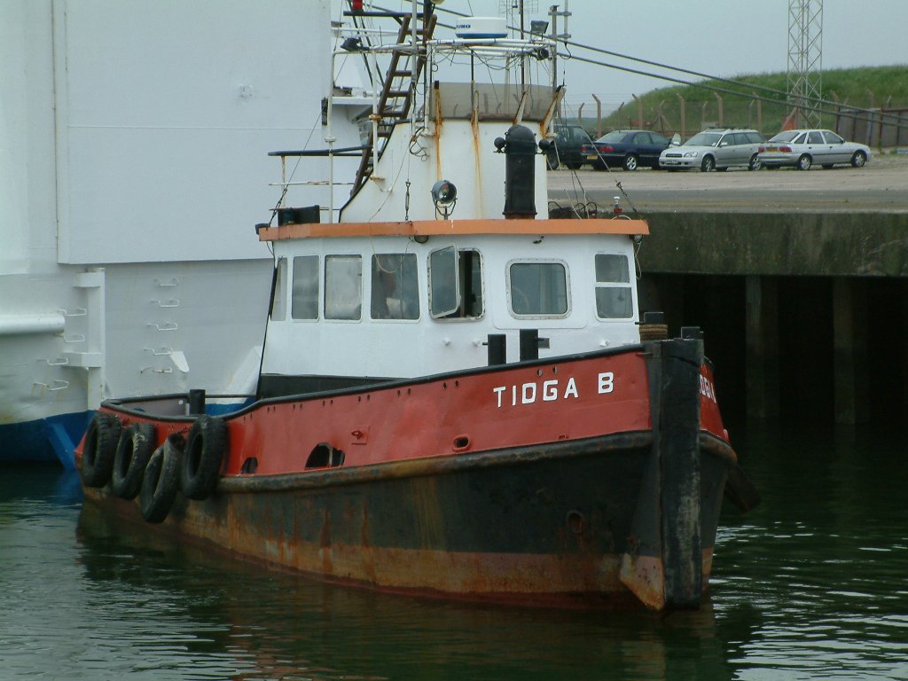 Click now to see this image full size.