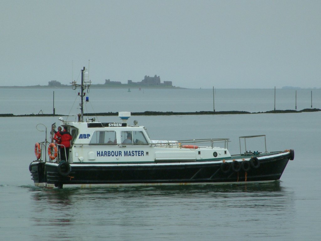 Click now to see this image full size.