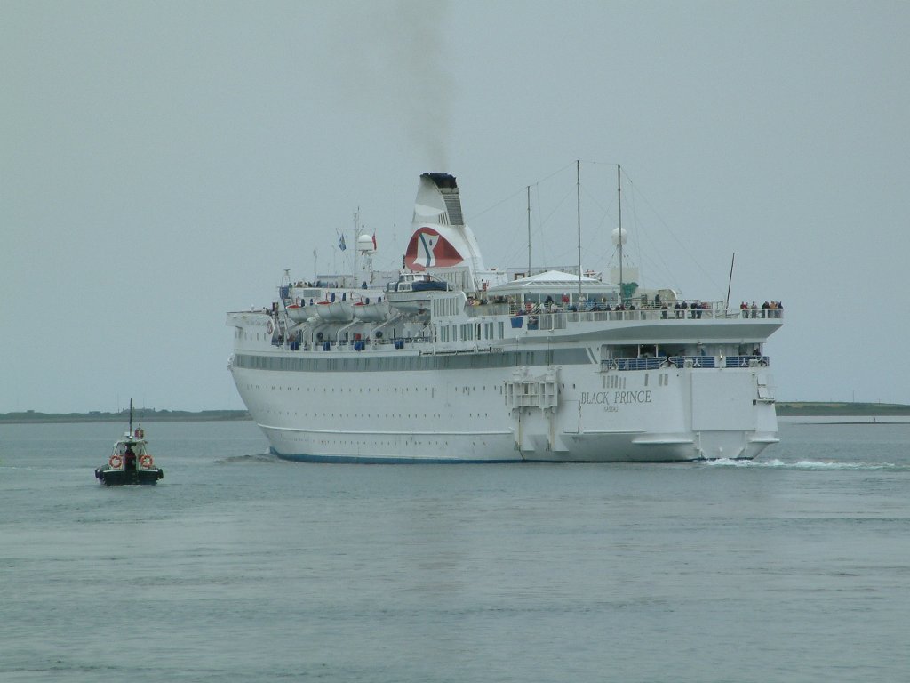 Click now to see this image full size.