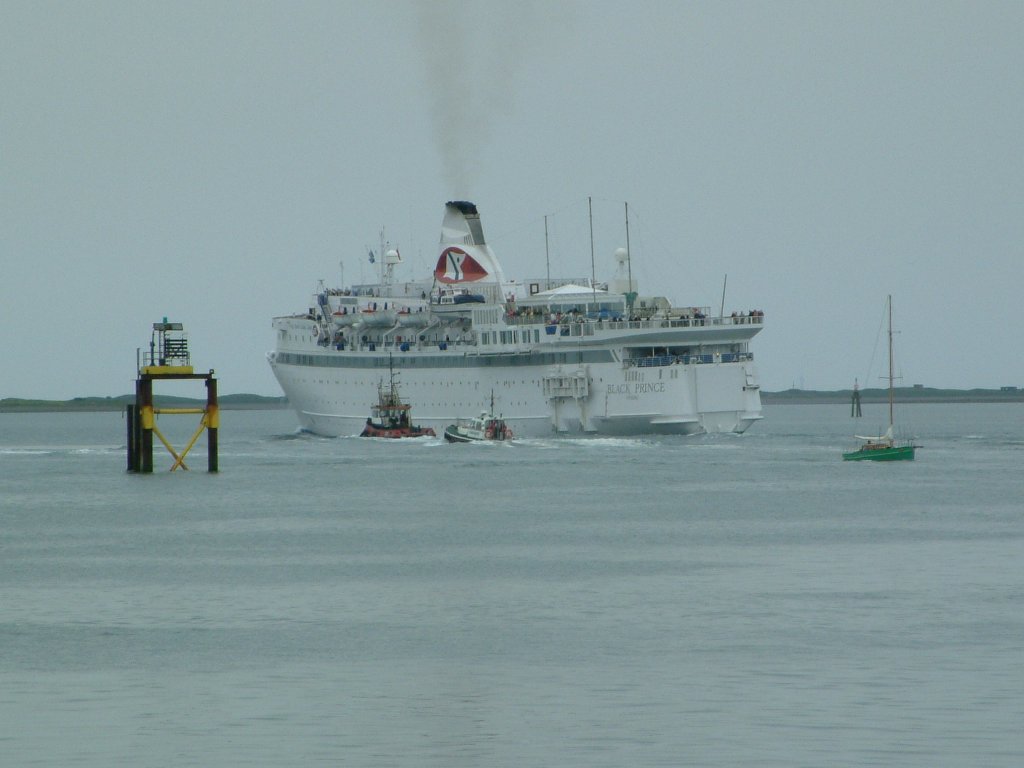 Click now to see this image full size.