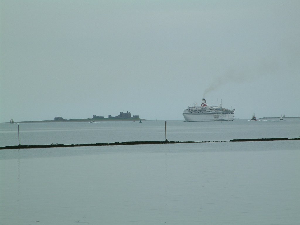 Click now to see this image full size.