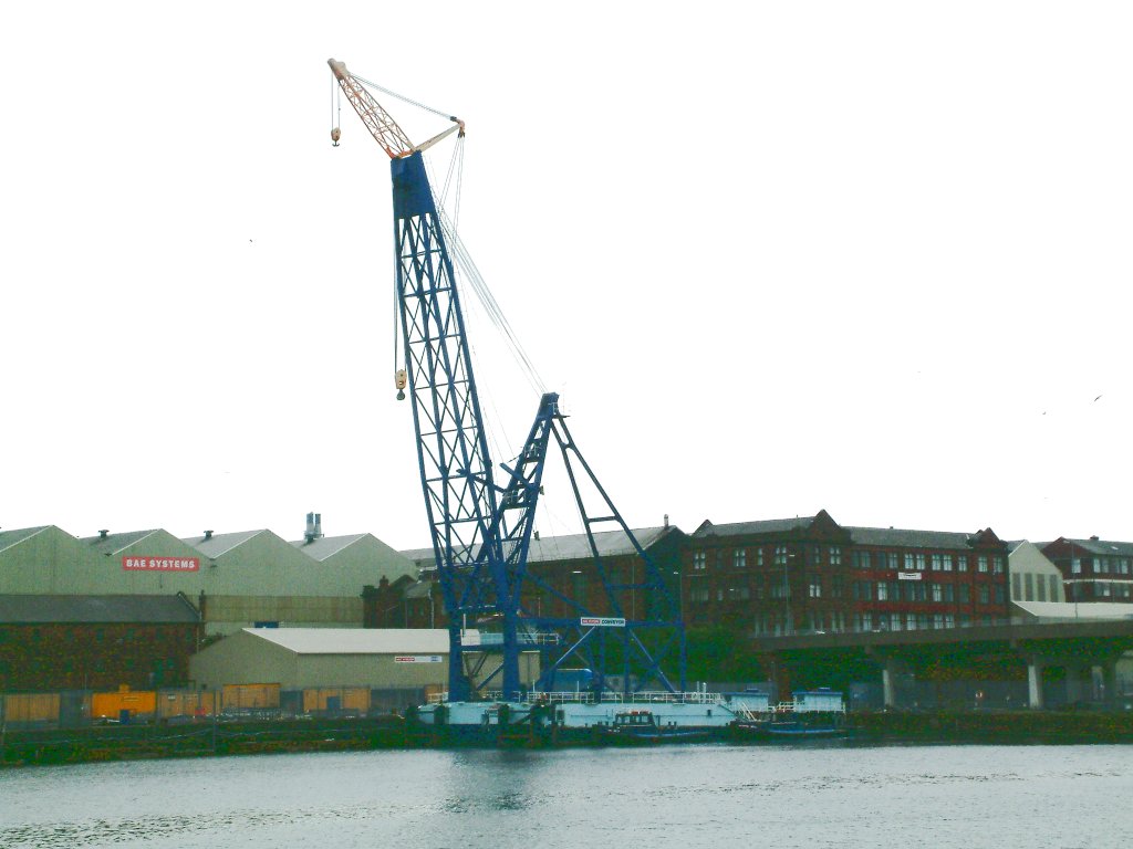 Click now to see this image full size.