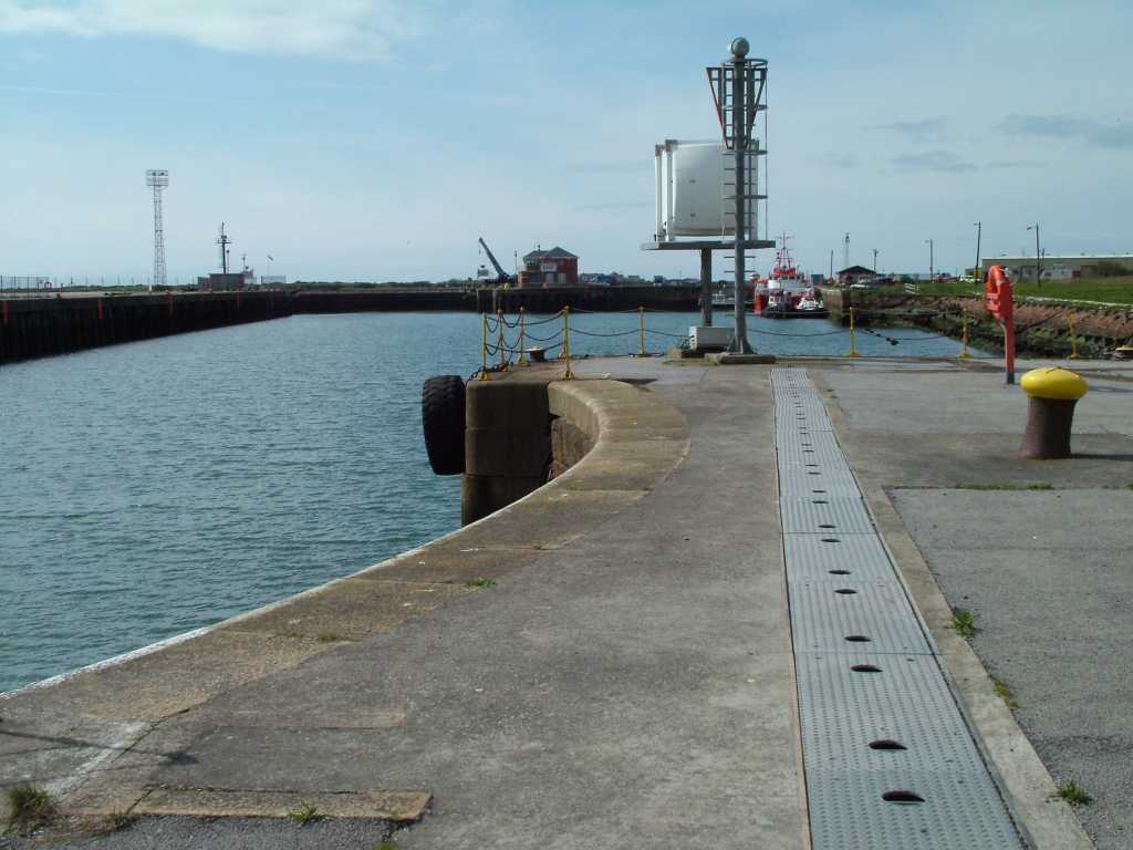 Click now to see this image full size.