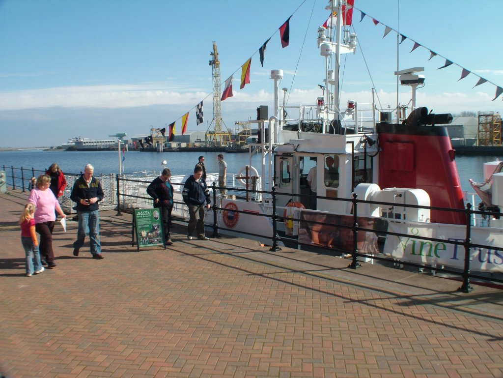 Click now to see this image full size.