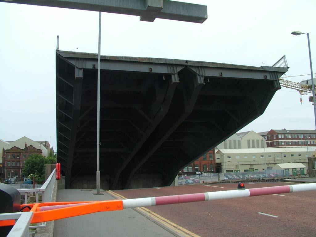 Click now to see this image full size.