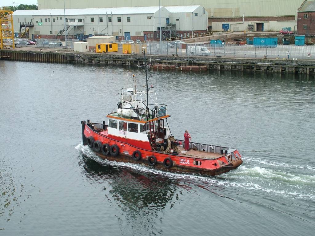 Click now to see this image full size.