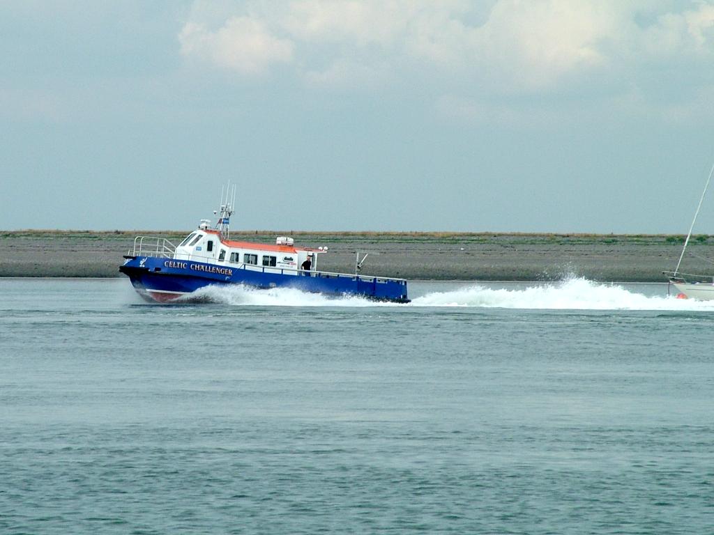 Click now to see this image full size.