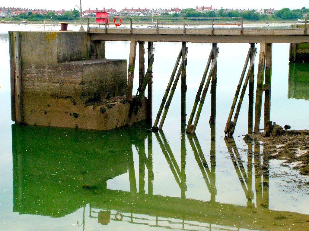 Click now to see this image full size.