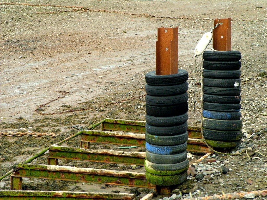 Click now to see this image full size.