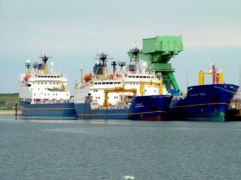 Click now to see this image full size.