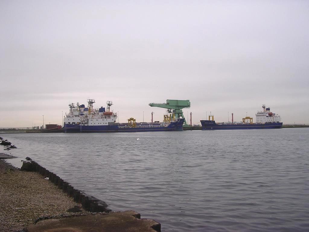 Click now to see this image full size.