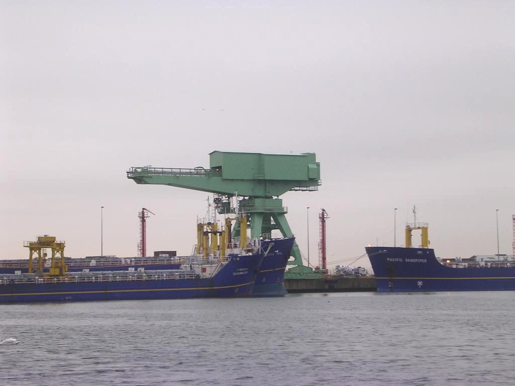 Click now to see this image full size.