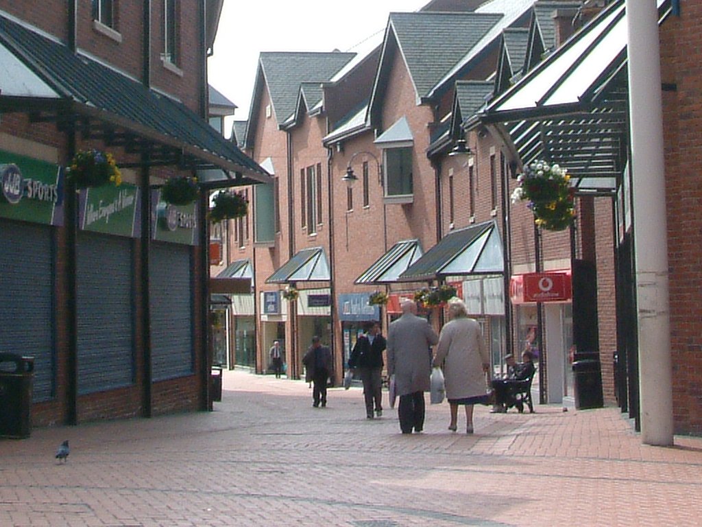 Click now to see this image full size.