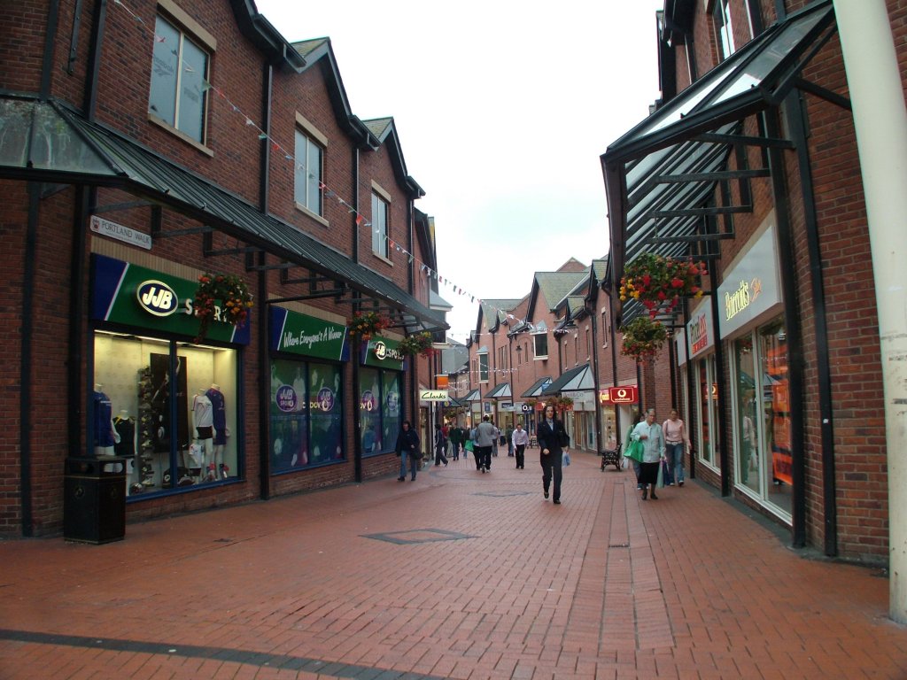 Click now to see this image full size.