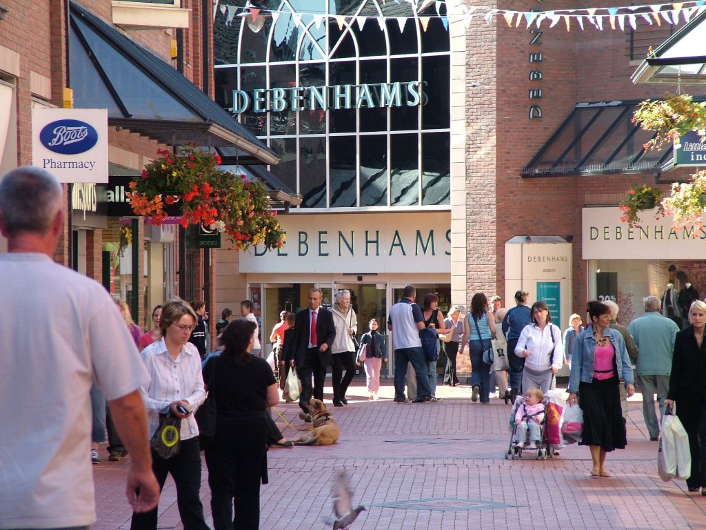 Click now to see this image full size.