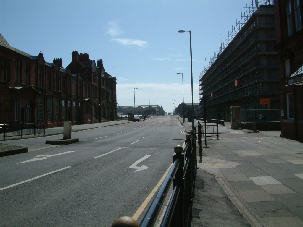 Click now to see this image full size.