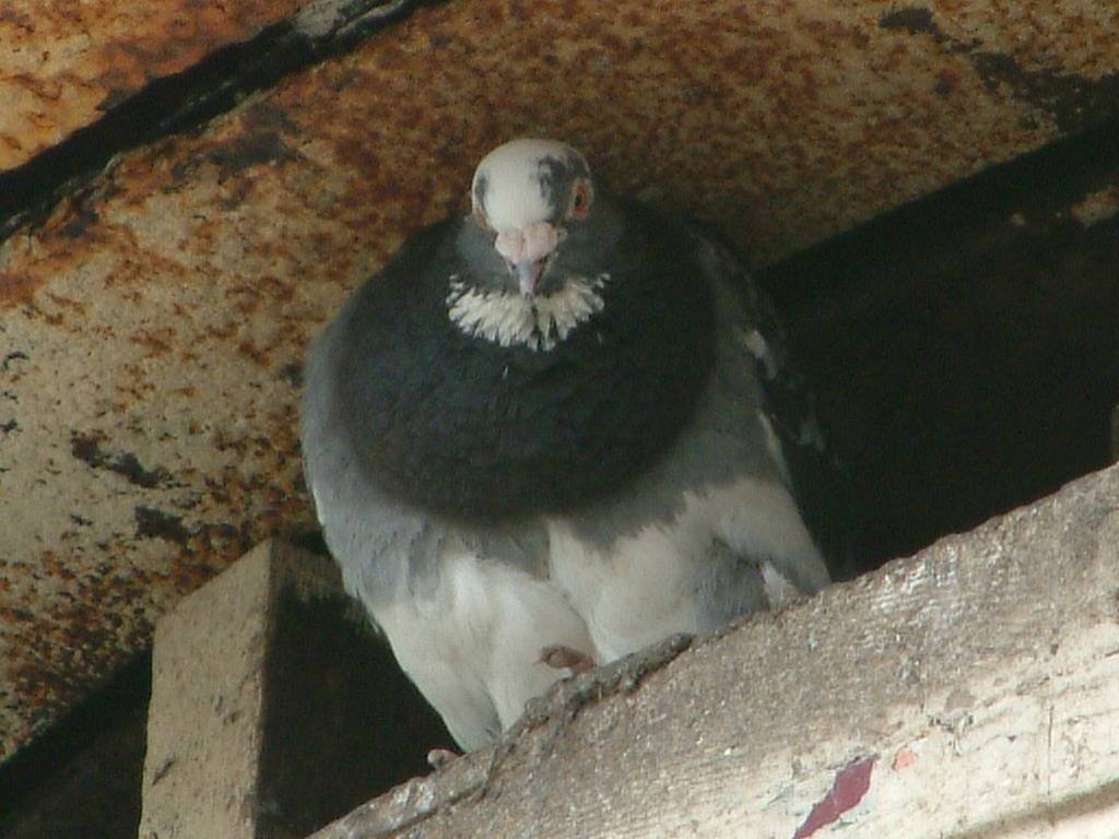 Click now to see this image full size.