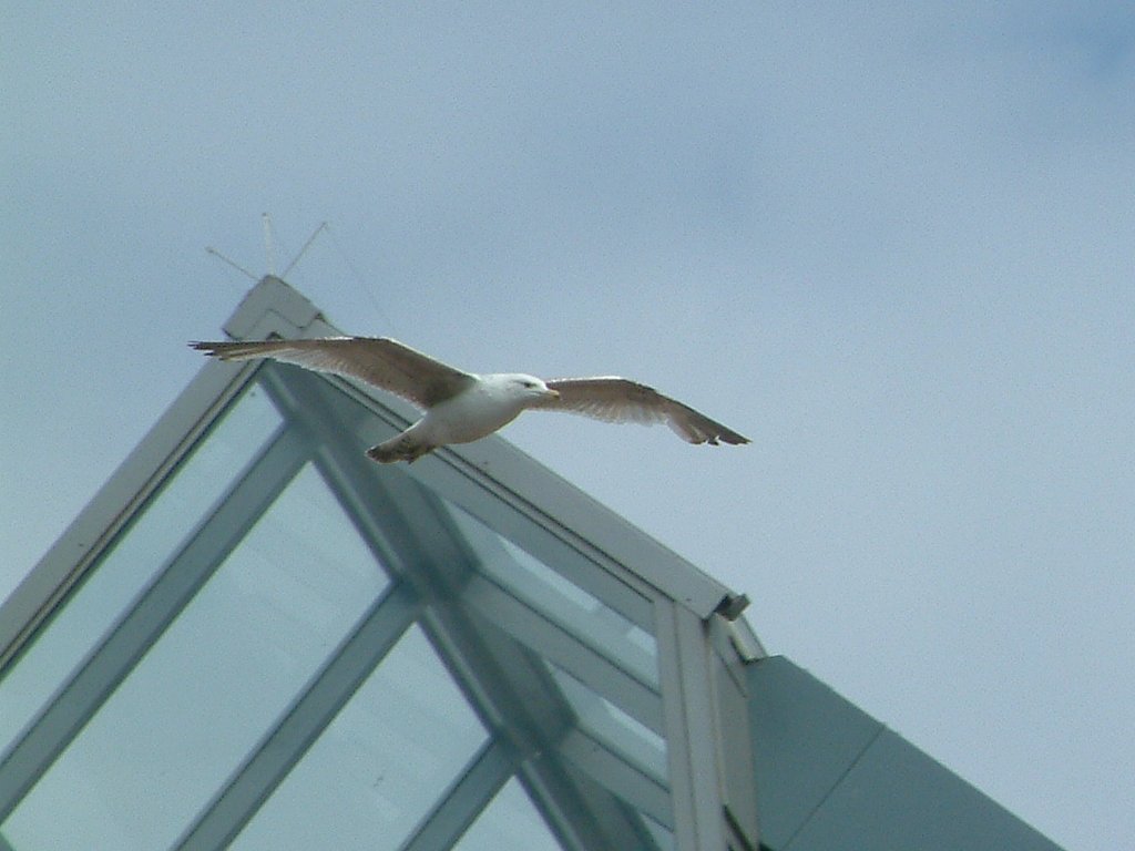 Click now to see this image full size.