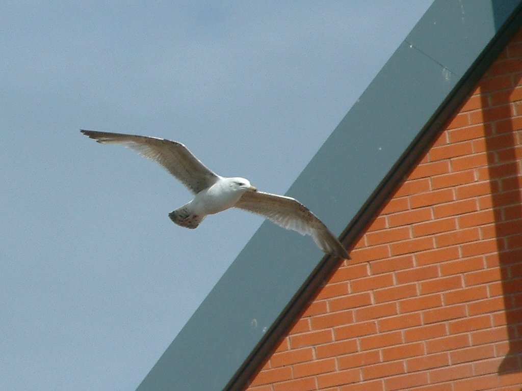 Click now to see this image full size.