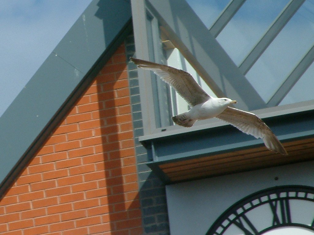 Click now to see this image full size.