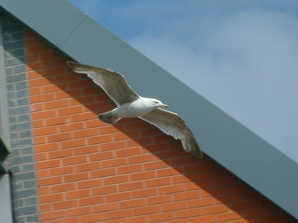 Click now to see this image full size.