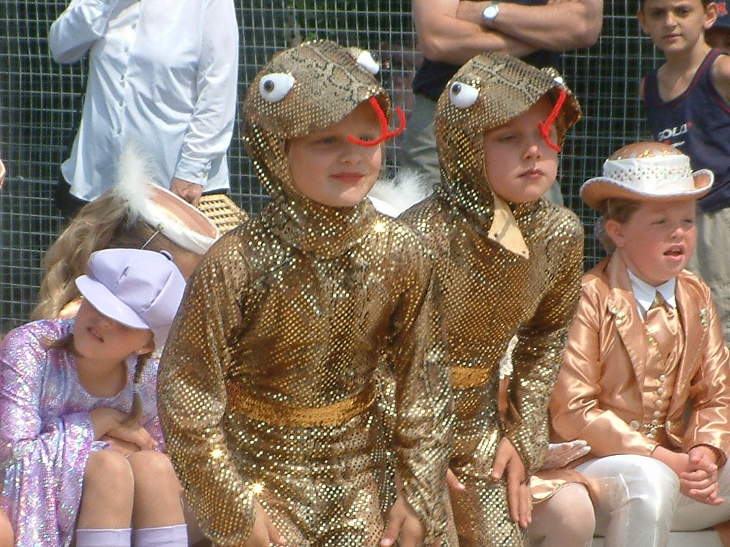 Click now to see this image full size.