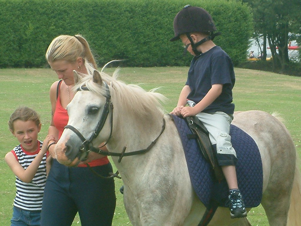 Click now to see this image full size.