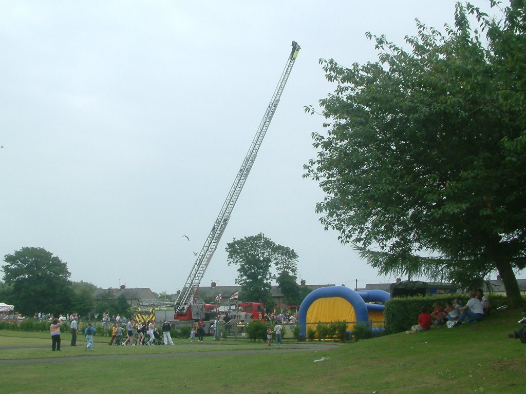 Click now to see this image full size.