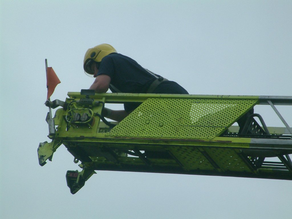 Click now to see this image full size.