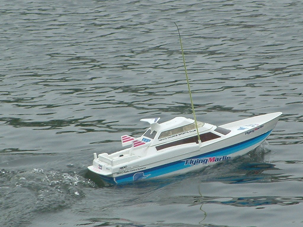 Click now to see this image full size.